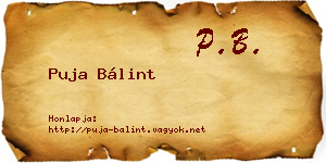 Puja Bálint névjegykártya